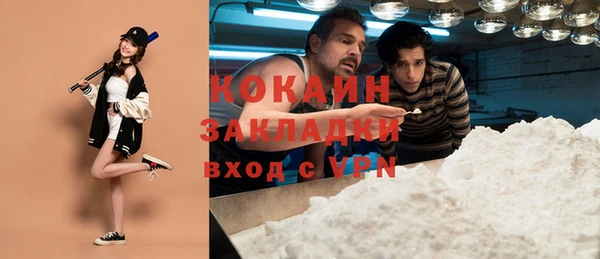 индика Бородино