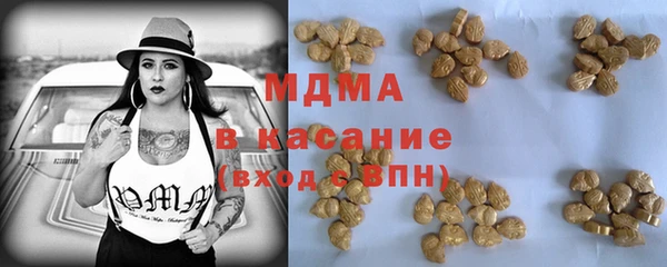 индика Бородино