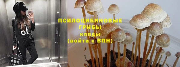 мяу мяу мука Бугульма