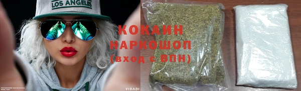 шишки Бронницы