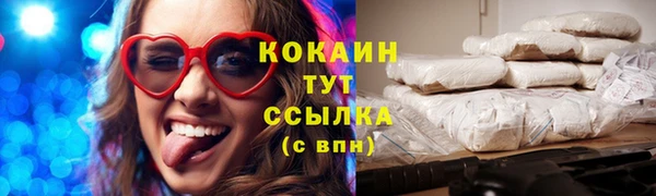 индика Бородино