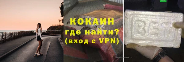 индика Бородино