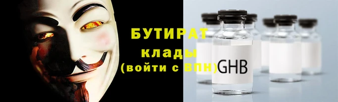 индика Бородино