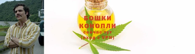 индика Бородино