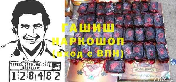 индика Бородино