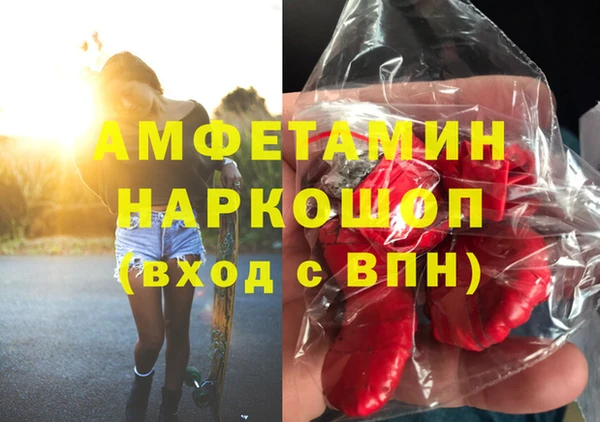 индика Бородино