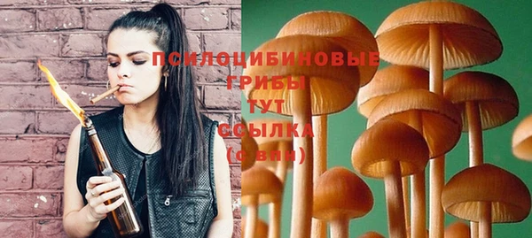 кокаин Туринск
