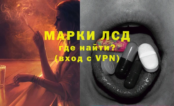 шишки Бронницы