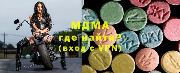 индика Бородино