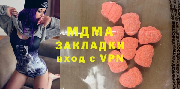 индика Бородино