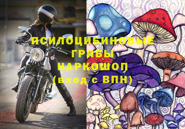 ПСИЛОЦИБИНОВЫЕ ГРИБЫ Тутаев